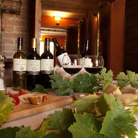 Agriturismo Pieve Sprenna Buonconvento Eksteriør billede