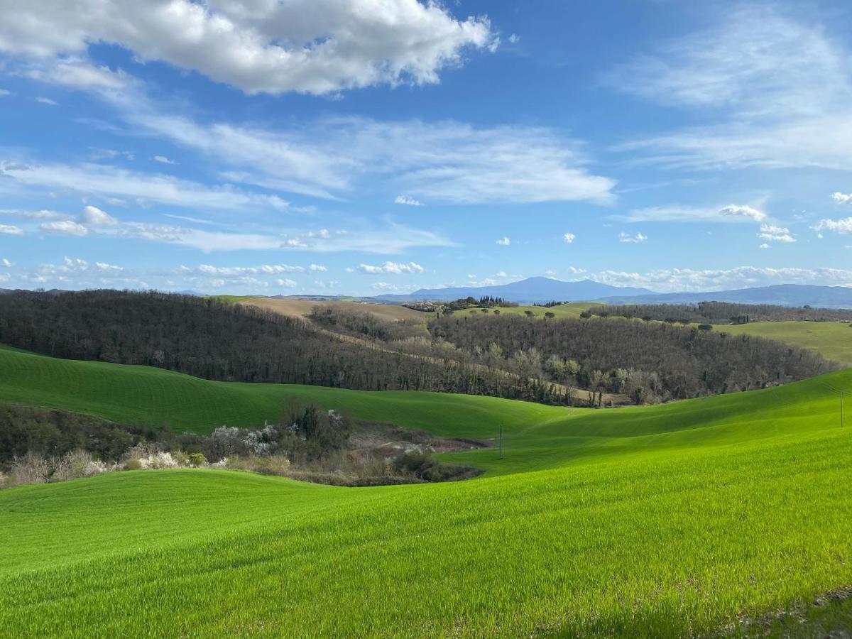 Agriturismo Pieve Sprenna Buonconvento Eksteriør billede