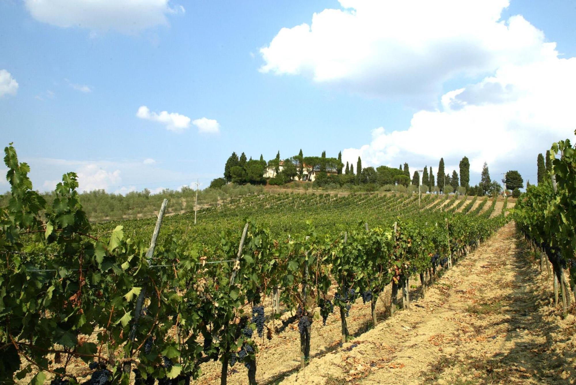 Agriturismo Pieve Sprenna Buonconvento Eksteriør billede