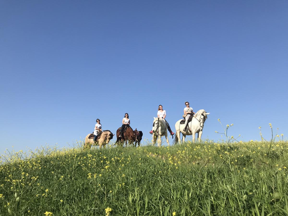Agriturismo Pieve Sprenna Buonconvento Eksteriør billede
