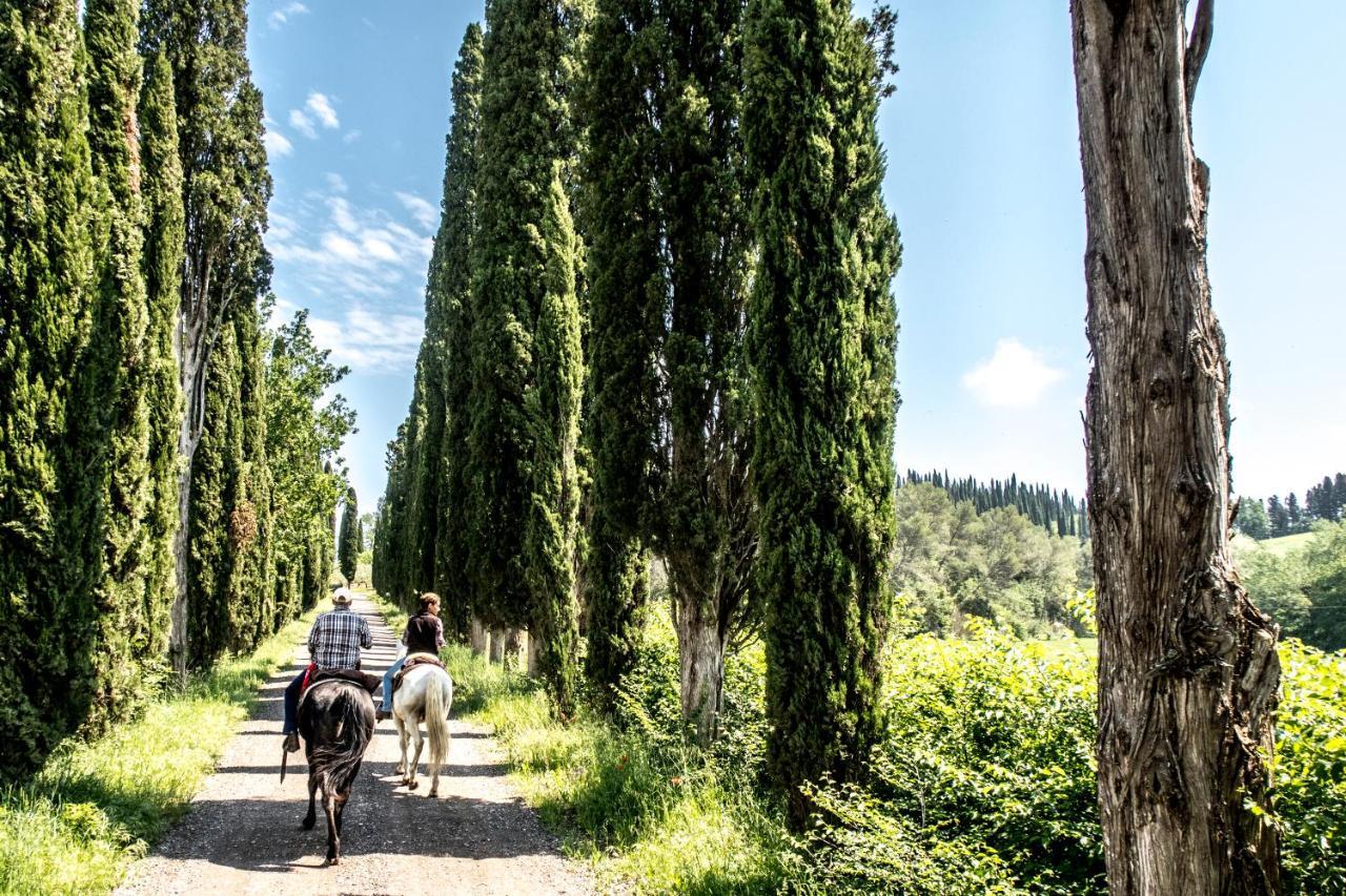 Agriturismo Pieve Sprenna Buonconvento Eksteriør billede