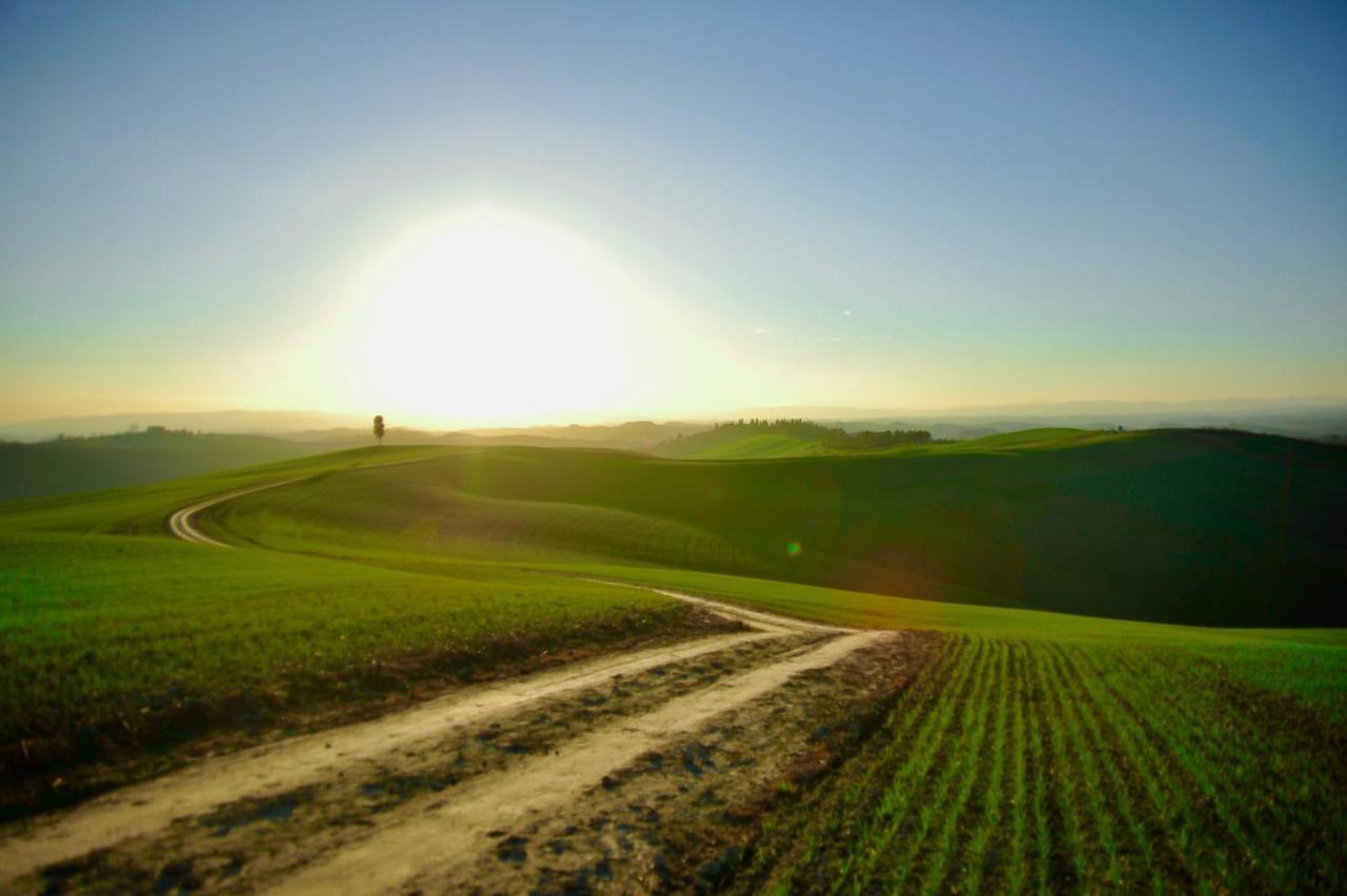 Agriturismo Pieve Sprenna Buonconvento Eksteriør billede