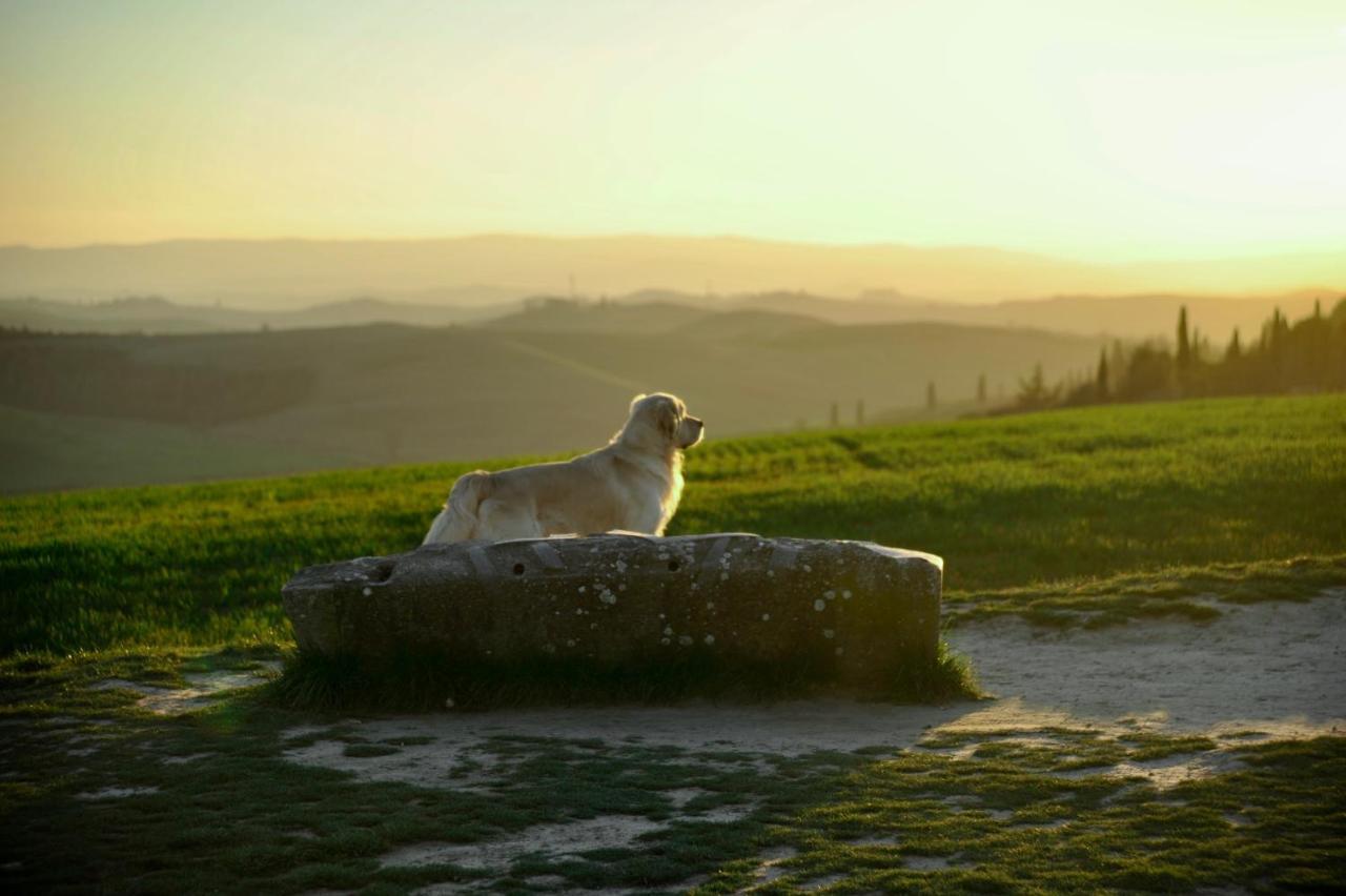 Agriturismo Pieve Sprenna Buonconvento Eksteriør billede