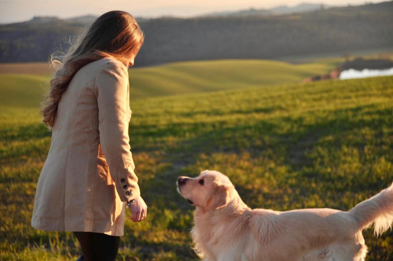 Agriturismo Pieve Sprenna Buonconvento Eksteriør billede